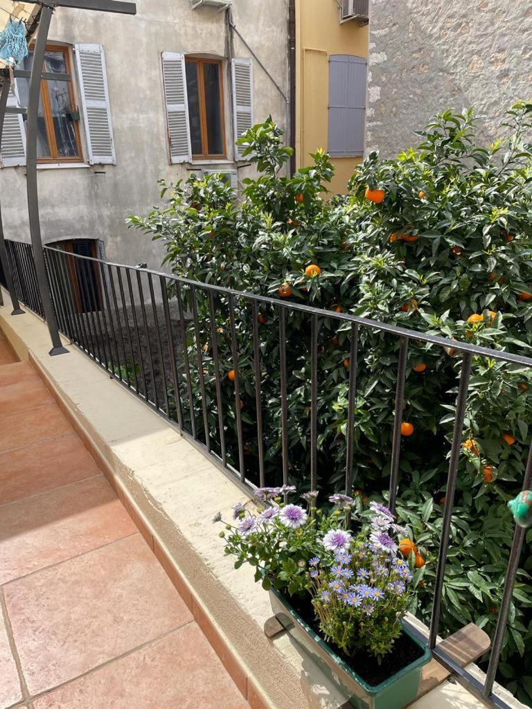 Appartements Climatises - Vieil Antibes Kültér fotó